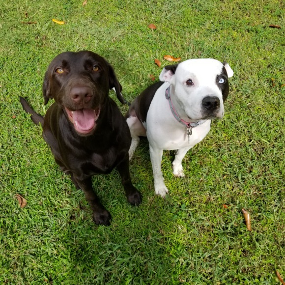 Meet your Posher, Tina - Picture 1 of 1